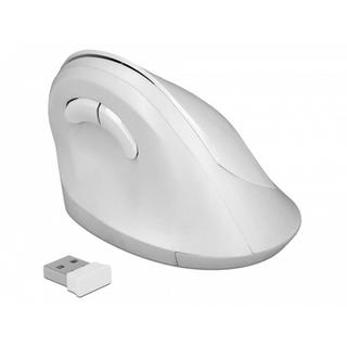 DeLock  12596 mouse Mano destra RF Wireless 1600 DPI 