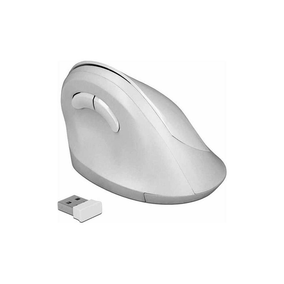 DeLock  12596 (Kabellos) 