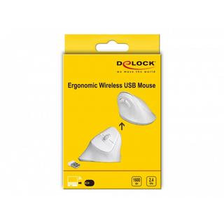 DeLock  12596 Maus rechts RF Wireless 1600 DPI 