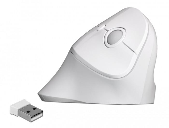 DeLock  12596 mouse Mano destra RF Wireless 1600 DPI 