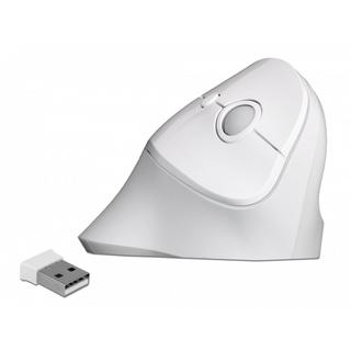 DeLock  12596 mouse Mano destra RF Wireless 1600 DPI 