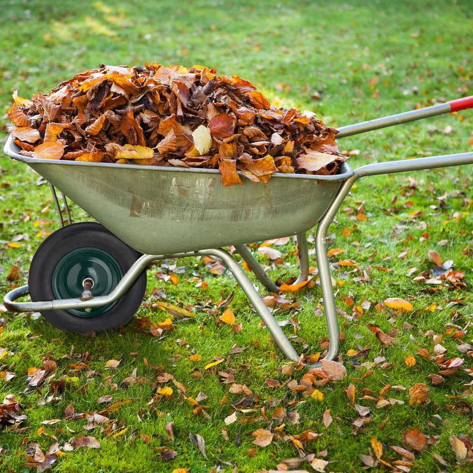 B2X  Räder für Schubkarre 4.80 4.00-8 