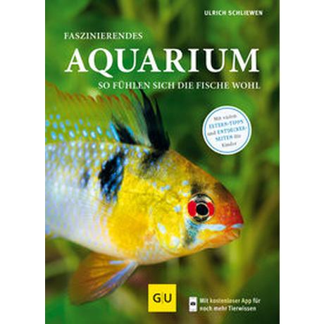 Faszinierendes Aquarium Schliewen, Ulrich Copertina rigida 