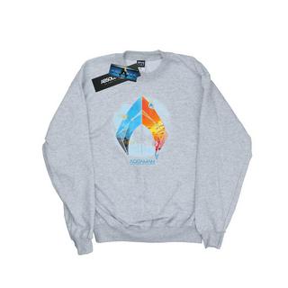 DC COMICS  Sweatshirt 