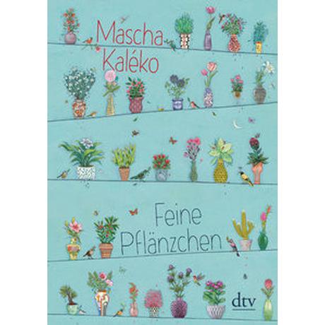 Feine Pflänzchen Kaléko, Mascha; Schöffmann-Davidov, Eva (Illustrationen) Gebundene Ausgabe 