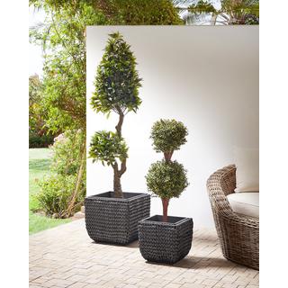 Beliani Lot de 2 pots de fleurs en Polyrotin Rustique BERBERIS  