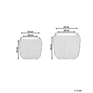 Beliani Lot de 2 pots de fleurs en Polyrotin Rustique BERBERIS  