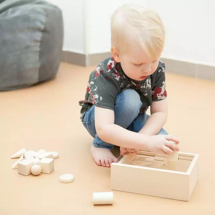 Montessori  Montessori-Pädagogik, Montessori Sorter Holz Holzspielzeug für Kinder - Geometrische Formen, Natur 