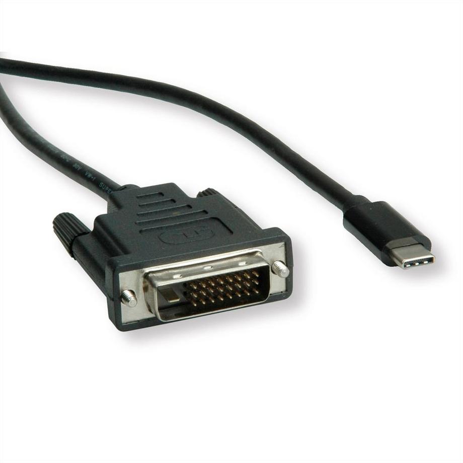 Roline  ROLINE 11045831 2 m DVI-D USB Typ-C Schwarz 