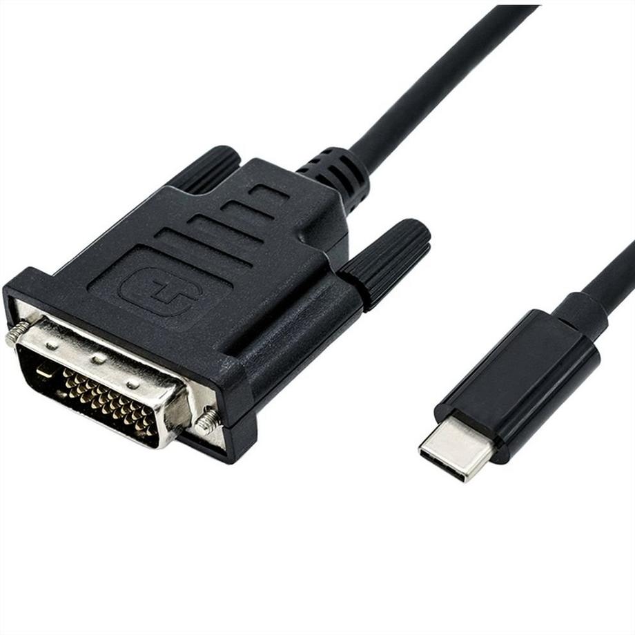 Roline  ROLINE 11045831 2 m DVI-D USB Typ-C Schwarz 