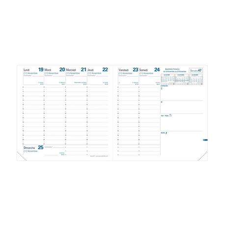 QUO-VADIS Quo Vadis - Einlagen Terminkalender - 2025 - Executif - Die Woche Planning - Französisch - Dez/Dez - 16x16 cm - Clairefontaine-Papier Weiß - Hergestellt in Frankreich  