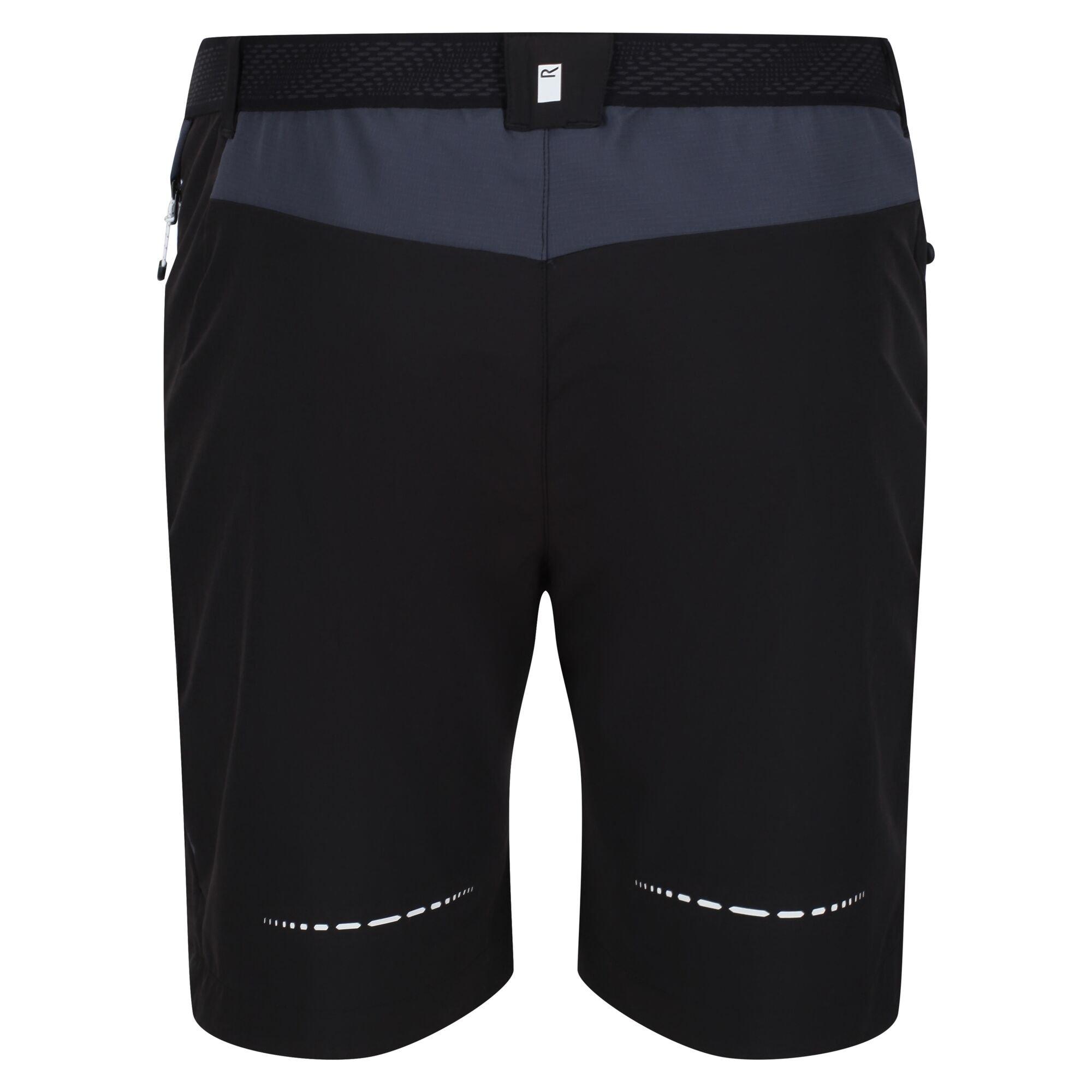 Regatta  Mountain II Shorts 