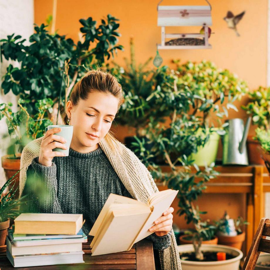 Northio  Mangeoire à oiseaux en bois naturel 