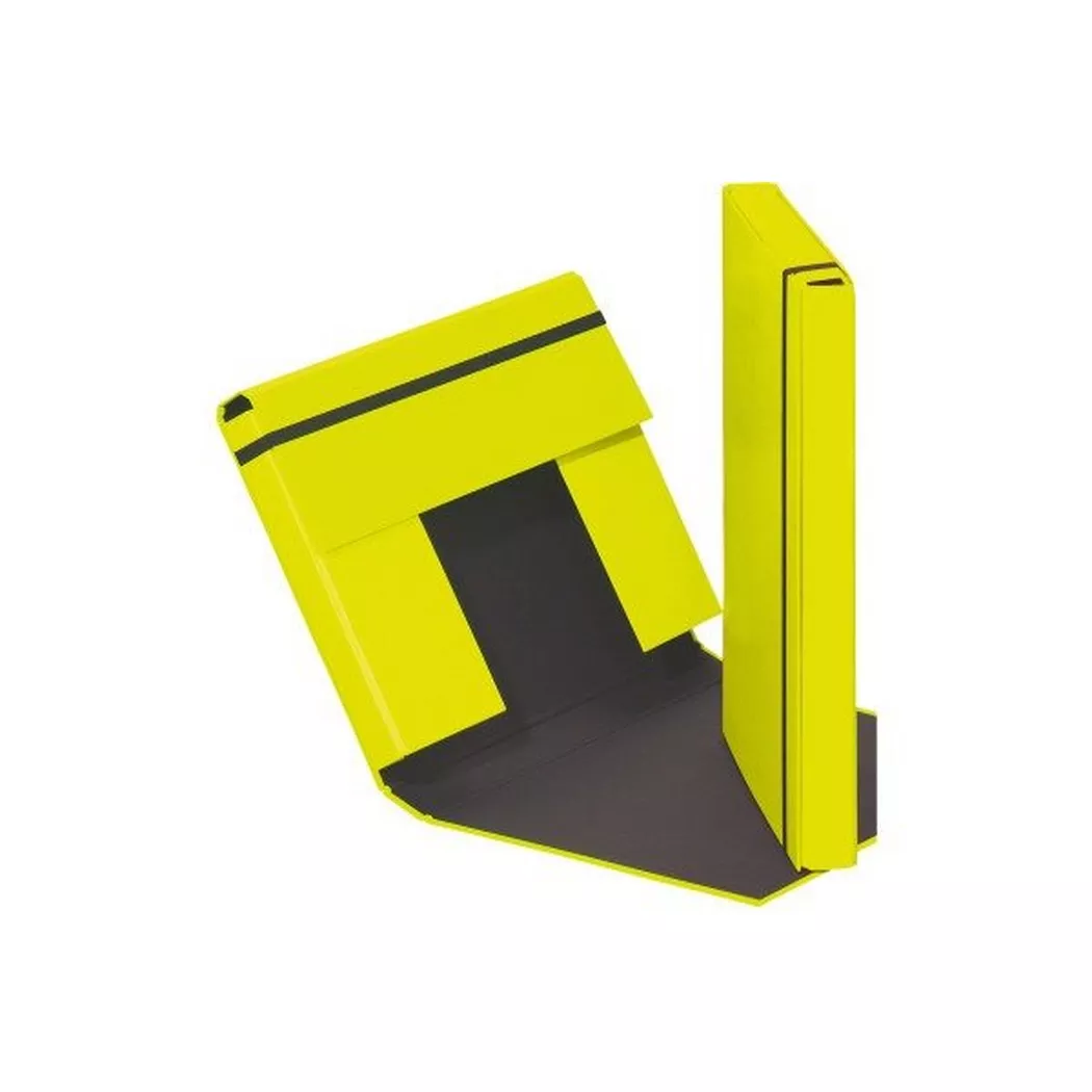 Pagna -  Sammelbox Trend A4 21308-17 Gummizugverschluss grün, 21cm