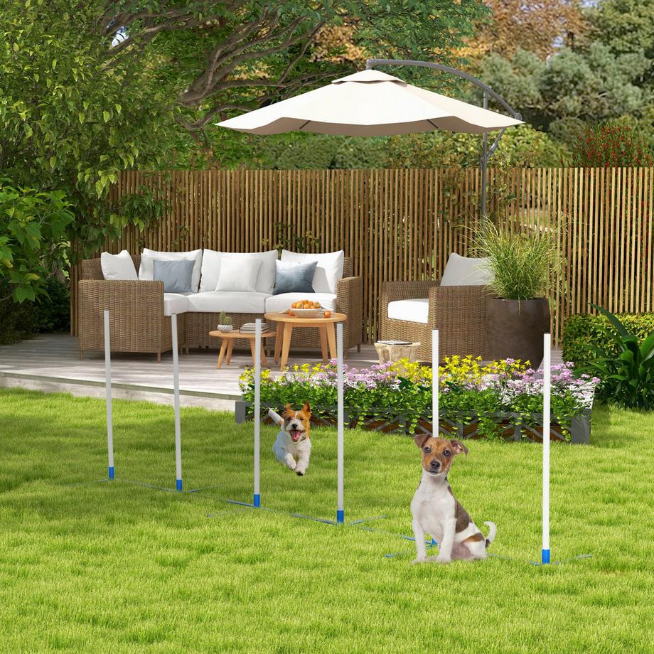 PawHut Pet Agility Set  