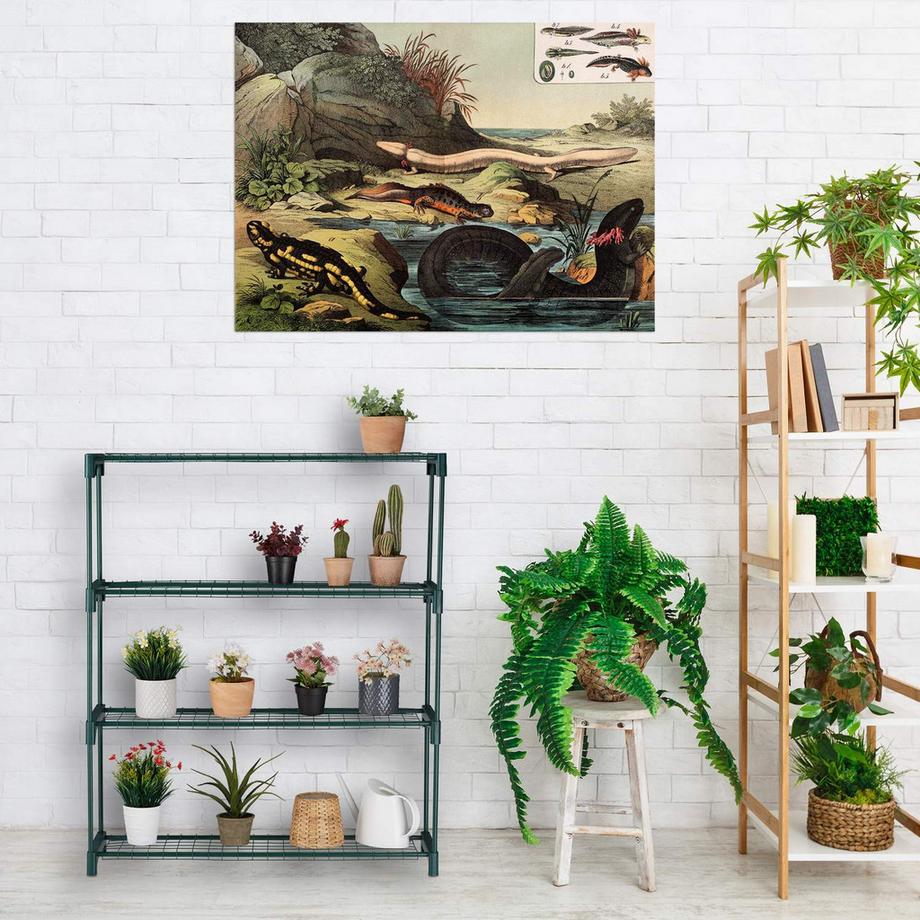 Northix Pflanzenregale, 4er-Set  