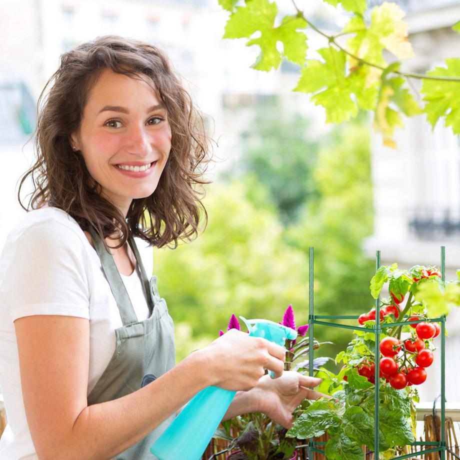 B2X Pflanzenstützen-Set 4.120 cm  