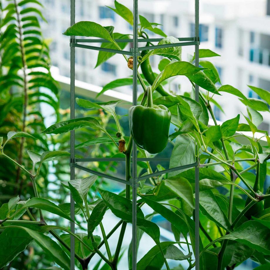 B2X Pflanzenstützen-Set 4.120 cm  