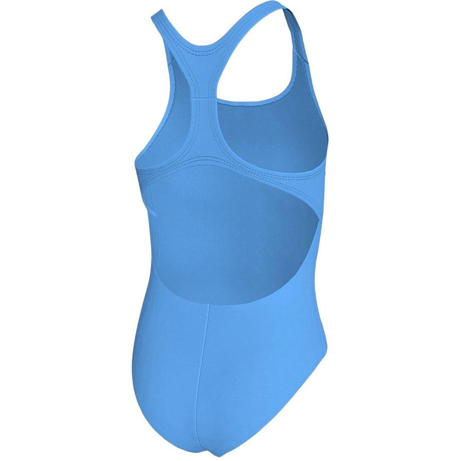 NIKE  Maillot De Bain 1 Pièce Essential 
