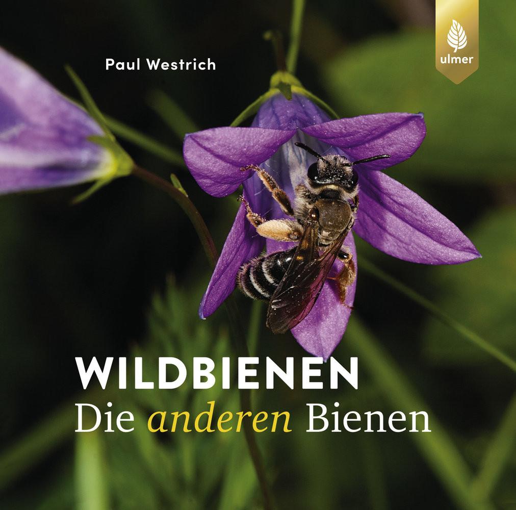 Wildbienen, die anderen Bienen Westrich, Paul Copertina rigida 