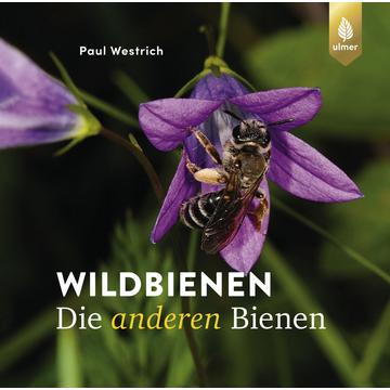 Wildbienen, die anderen Bienen