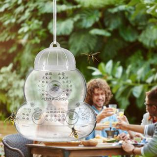 B2X Insektenfalle transparent 2er Set  