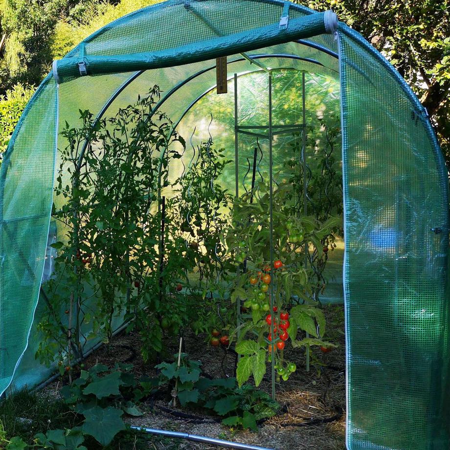 B2X Set di supporti per piante da 4.150 cm  