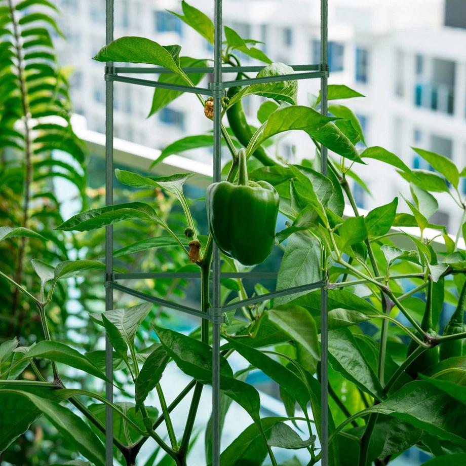 B2X Set di supporti per piante da 4.150 cm  