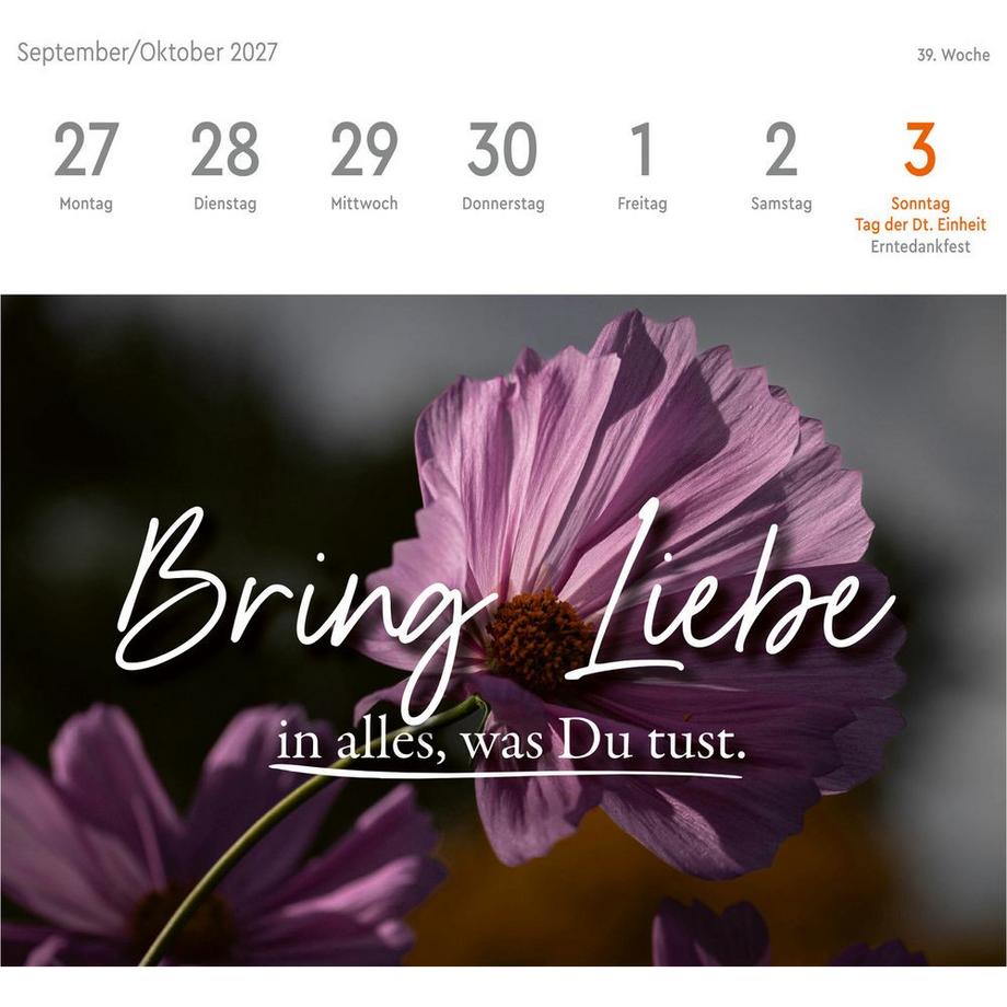 Heye Postkartenkalender Statements  