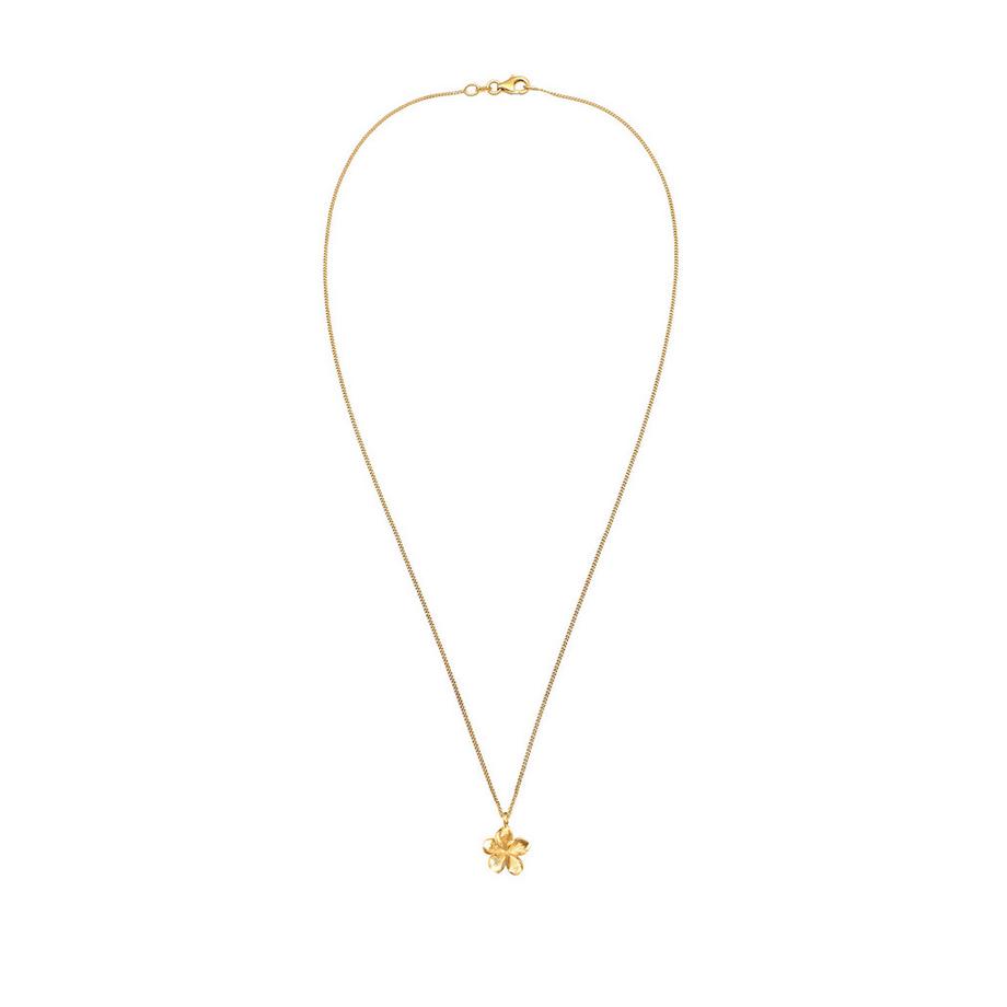 Elli  Collier Pendentif Frangipanier 