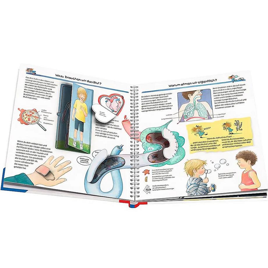 Wieso? Weshalb? Warum?, Band 1: Wir entdecken unseren Körper Rübel, Doris; Rübel, Doris (Illustrationen) Gebundene Ausgabe 