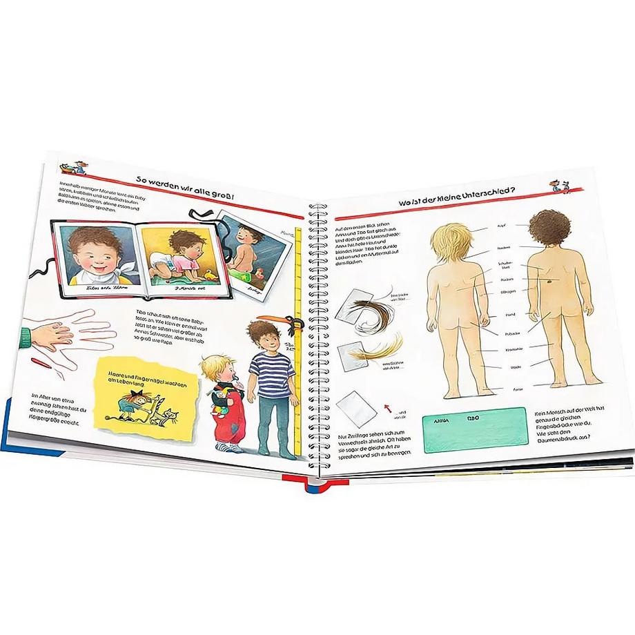 Wieso? Weshalb? Warum?, Band 1: Wir entdecken unseren Körper Rübel, Doris; Rübel, Doris (Illustrationen) Gebundene Ausgabe 