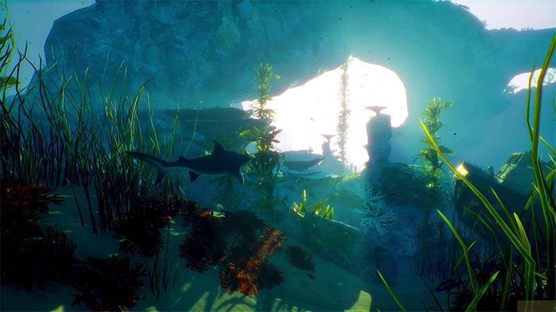 DEEP SILVER  Maneater - Apex Edition 