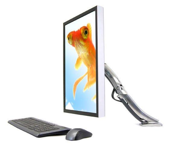 Ergotron  MX DESK MOUNT LCD ARM SILVER 