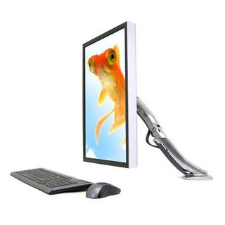 Ergotron  MX DESK MOUNT LCD ARM SILVER 