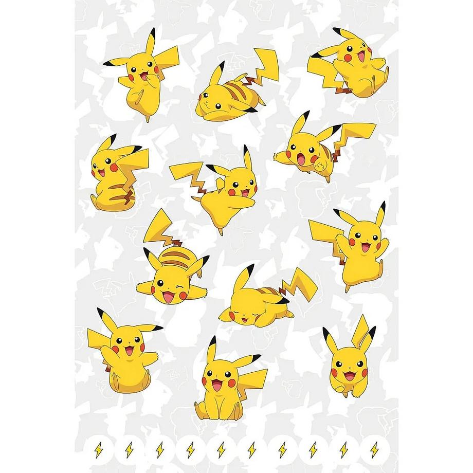 Panini  Pokémon: Mein großer Pokémon-Block 