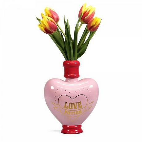 HARRY-POTTER  Vase Love Potion, Harry Potter 