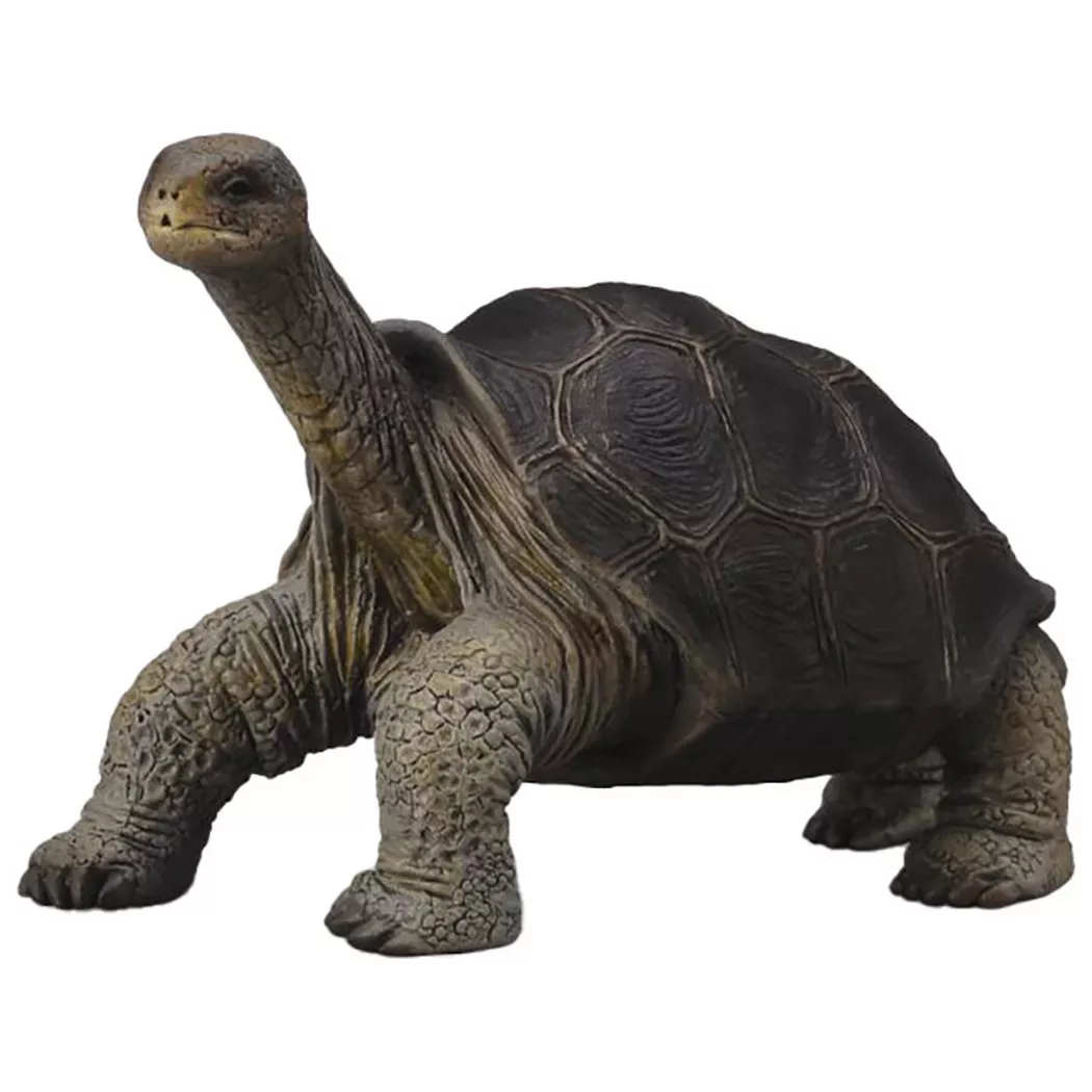 CollectA - Wild Life Galápagos Riesenschildkröte