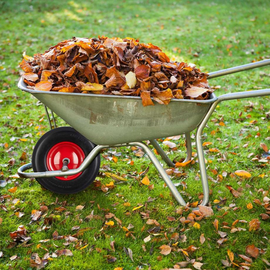 B2X  Roue pour brouette 4.80 4.00-8 en caoutchouc plein 