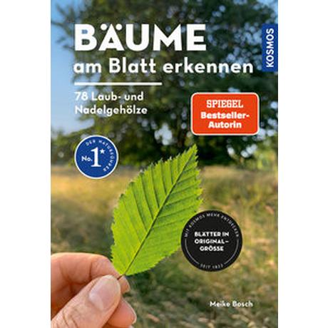 Bäume am Blatt erkennen - 78 Laub- und Nadelgehölze. Blätter in Originalgröße Bosch, Meike Copertina rigida 