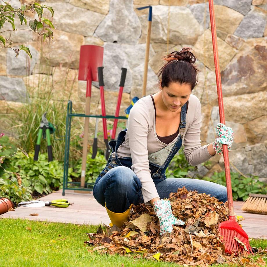 B2X Porte-outils pour le jardin  