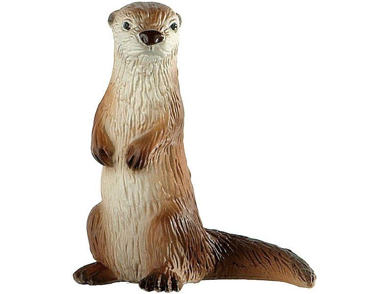 Image of Animal World Fischotter