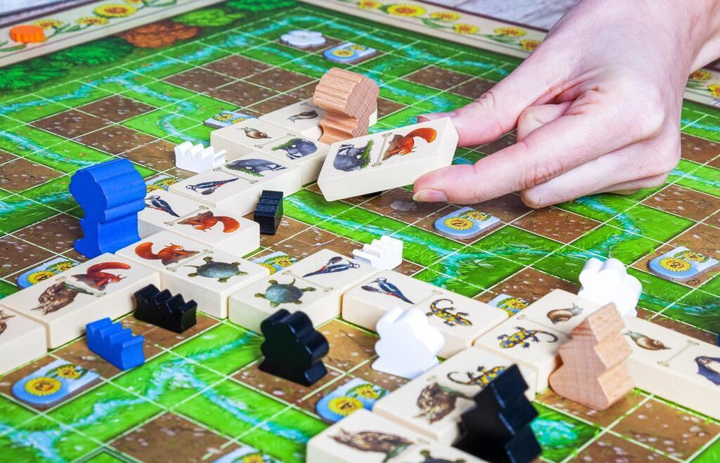 Pegasus Spiele  Renature (DE) 