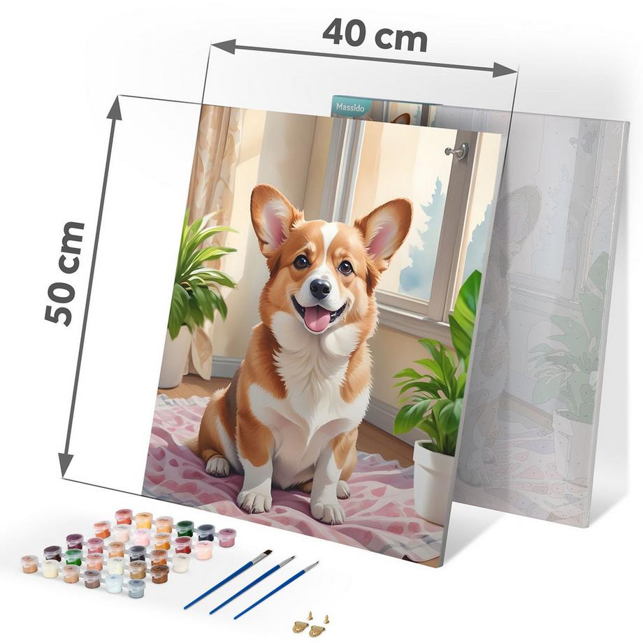 B2X Dipinto con numeri 40x50 cm Cane Massido Corgi  