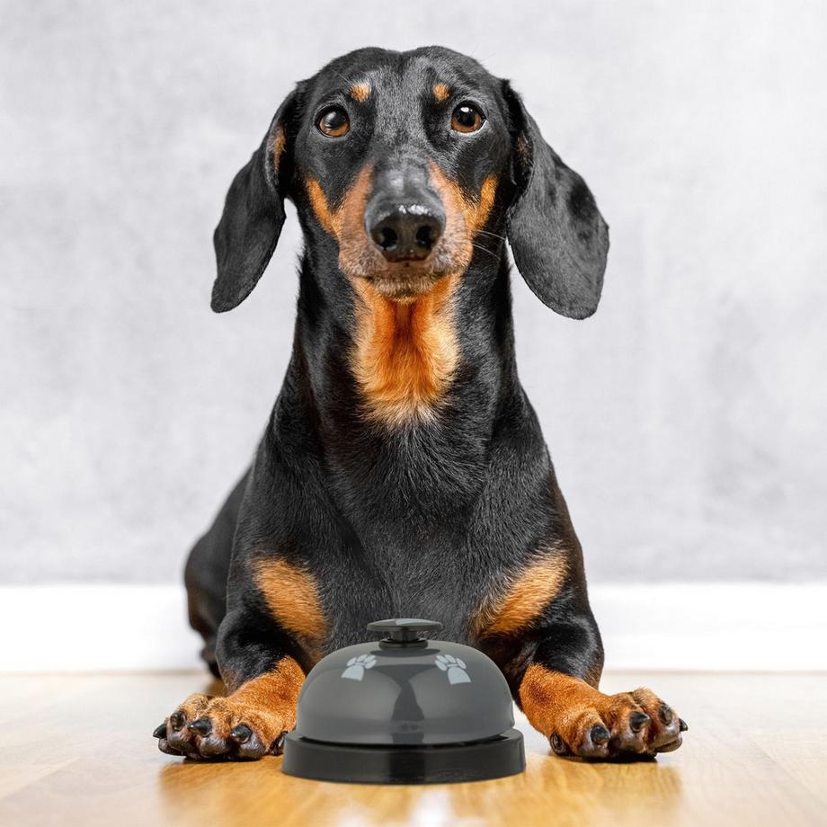 B2X  Cloche de dressage pour animaux de compagnie, lot de 4 