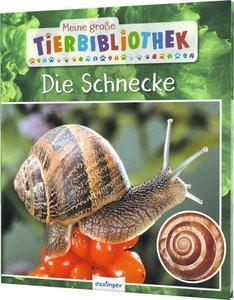 Meine große Tierbibliothek: Die Schnecke Starosta, Paul; Brauner, Anne (Übersetzung) Couverture rigide 