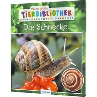 Meine große Tierbibliothek: Die Schnecke Starosta, Paul; Brauner, Anne (Übersetzung) Couverture rigide 