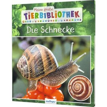 Meine große Tierbibliothek: Die Schnecke