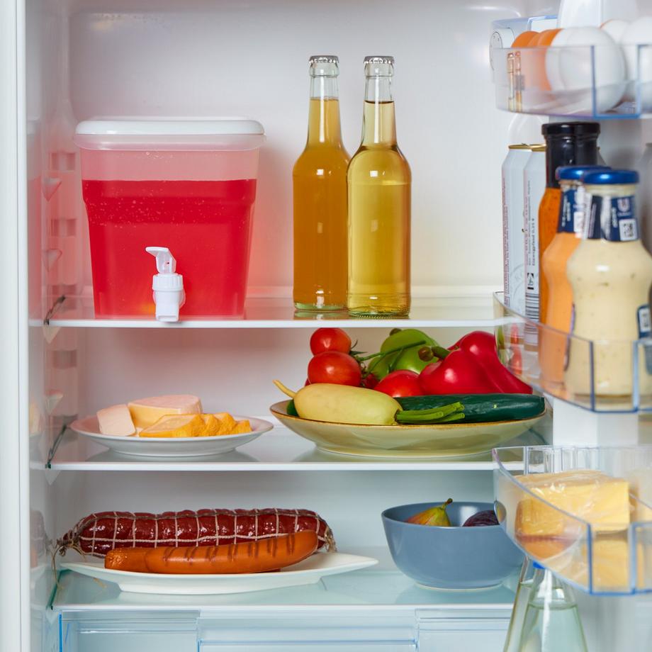 Northio Distributeur de boissons pour réfrigérateur 4,8 litres  