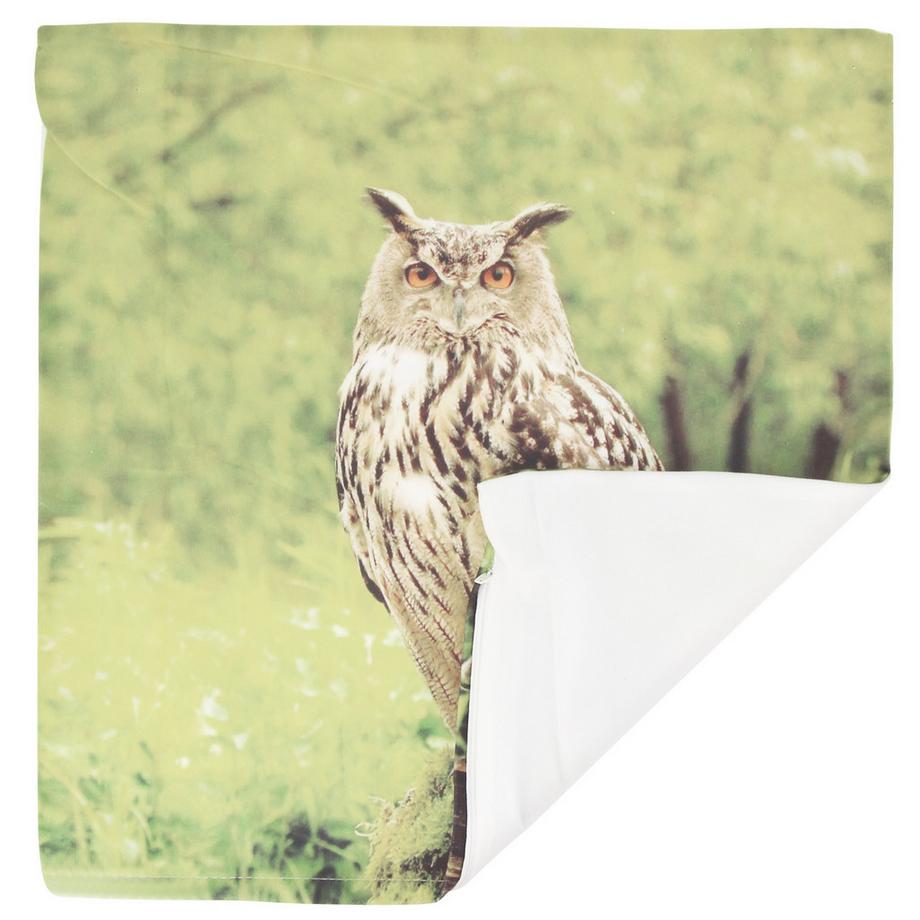 Avizar Lot 2 Housses de Coussin Hibou  